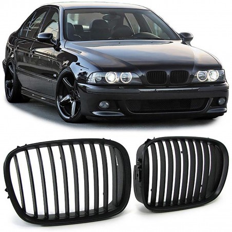 BMW E39 95-03 munuaiset