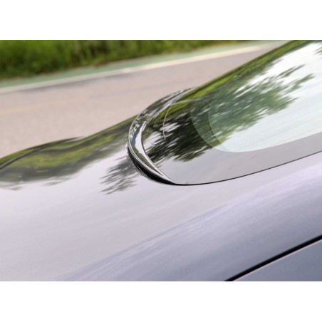 Tesla Model 3 sadespoileri