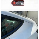 Tesla Model S/3/X/Y Sentry Mode Warning